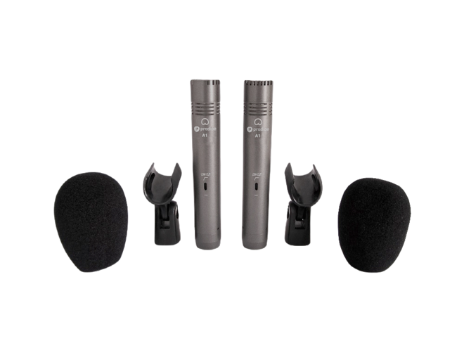 Prodipe PRO2XA1 | Microfono a condensatore polivalente, coppia