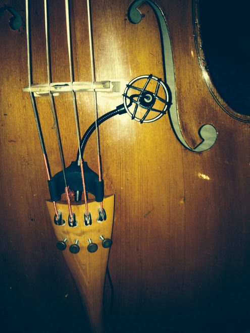 Prodipe PROCL21 | Microfono per violoncello