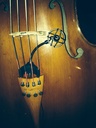 Prodipe PROCL21 | Microfono per violoncello