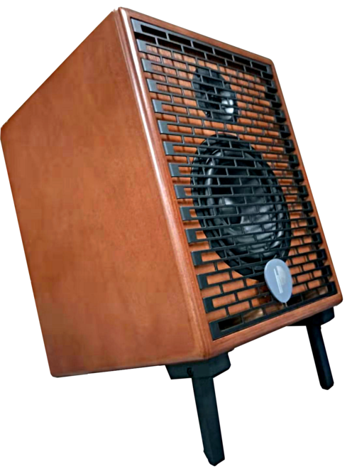 Prodipe PRONATURAL06WOOD | Amplificatore per chitarre e strumenti acustici