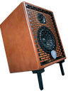 Prodipe PRONATURAL06WOOD | Amplificatore per chitarre e strumenti acustici