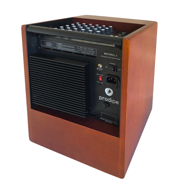Prodipe PRONATURAL06WOOD | Amplificatore per chitarre e strumenti acustici