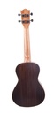 Prodipe JMFBC220 | Ukulele concerto, palissandro