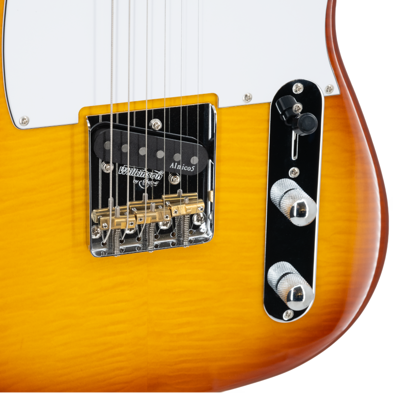 Prodipe JMFTC90ALDER | Chitarra elettrica, stile tele, corpo in ontano
