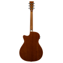 Chitarra PRODIPE SA150 CEQ