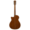 Prodipe SA300 CEQ | Chitarra acustica auditorium elettrificata