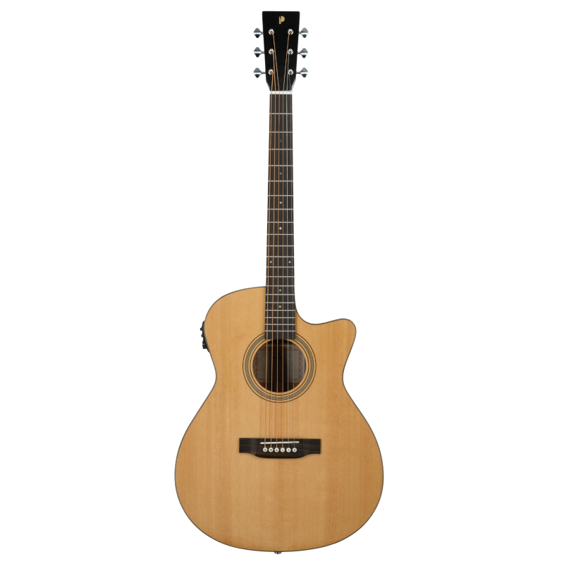 Prodipe SA300 CEQ | Chitarra acustica auditorium elettrificata
