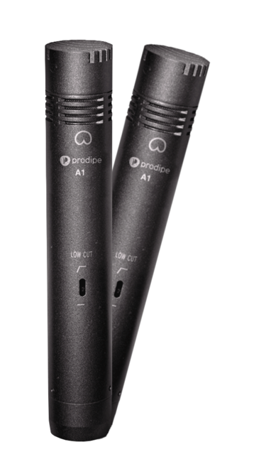 Prodipe PRO2XA1 | Microfono a condensatore polivalente, coppia