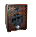 Prodipe PRONATURAL06WOOD | Amplificatore per chitarre e strumenti acustici