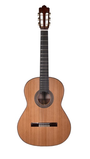 [JMFSOLOIST700] Prodipe JMFSOLOIST700 | Chitarra classica 4/4