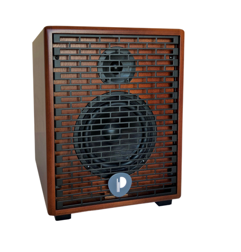 [PRONATURAL06WOOD] Prodipe PRONATURAL06WOOD | Amplificatore per chitarre e strumenti acustici